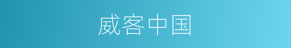 威客中国的同义词