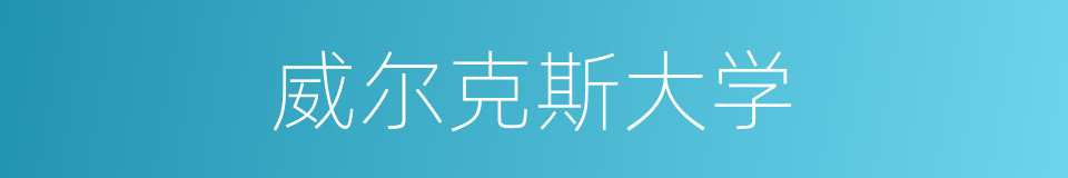 威尔克斯大学的同义词