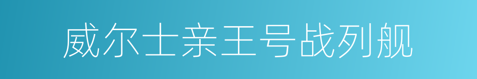 威尔士亲王号战列舰的同义词