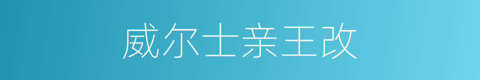 威尔士亲王改的同义词