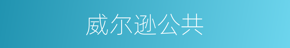 威尔逊公共的同义词