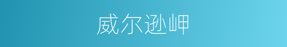 威尔逊岬的同义词