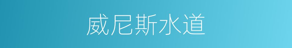 威尼斯水道的同义词
