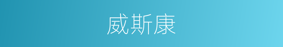 威斯康的同义词