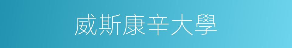 威斯康辛大學的同義詞