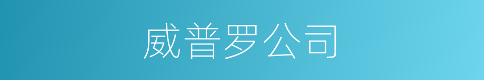 威普罗公司的同义词