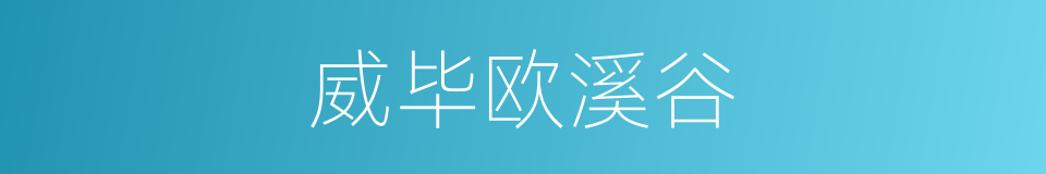 威毕欧溪谷的同义词