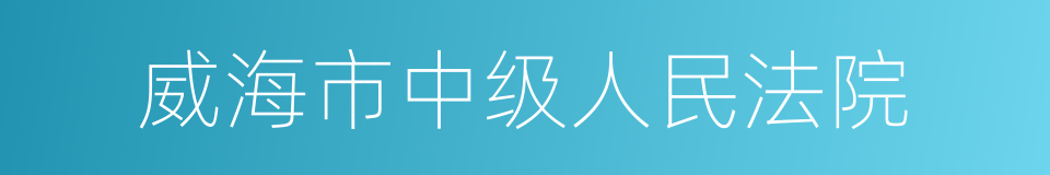 威海市中级人民法院的同义词