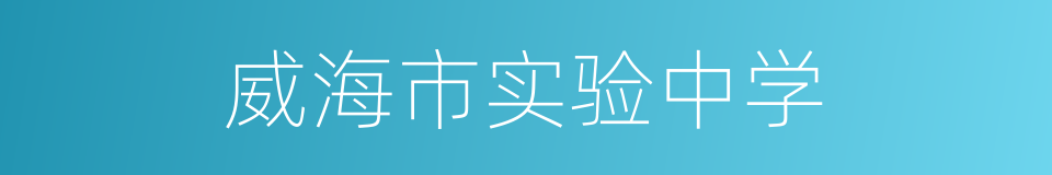 威海市实验中学的同义词
