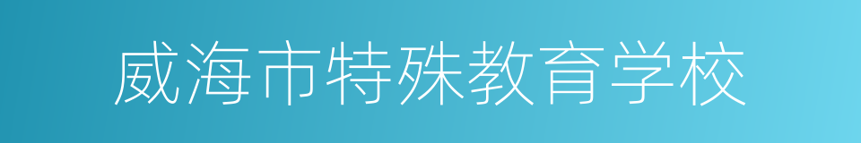 威海市特殊教育学校的同义词