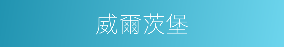 威爾茨堡的同義詞