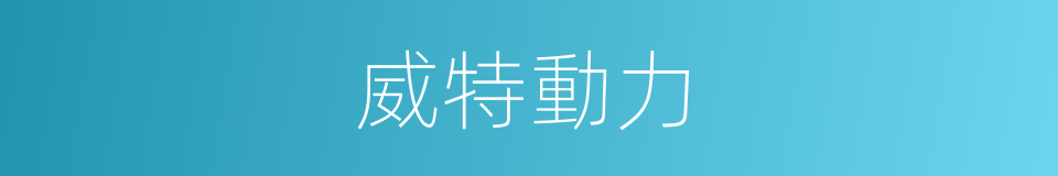 威特動力的同義詞