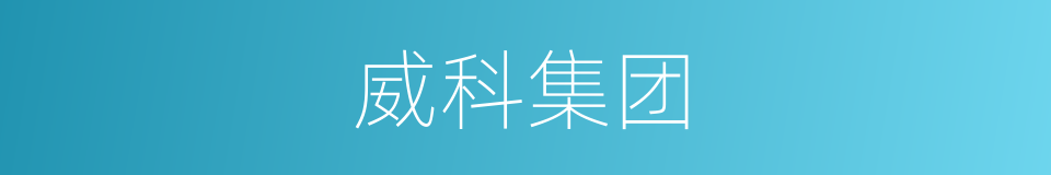 威科集团的同义词