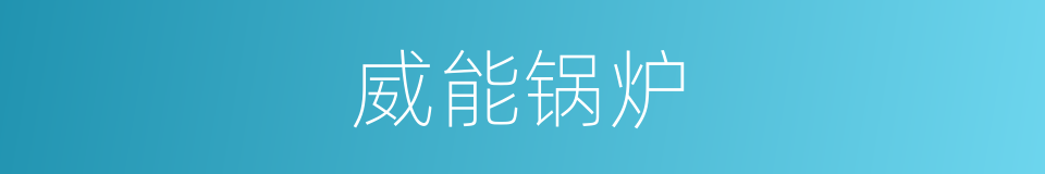 威能锅炉的同义词