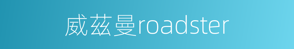 威茲曼roadster的同義詞