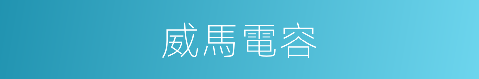 威馬電容的同義詞