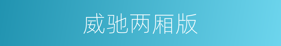 威驰两厢版的同义词