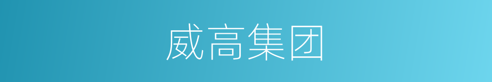 威高集团的同义词