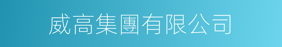威高集團有限公司的同義詞