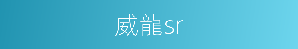威龍sr的同義詞