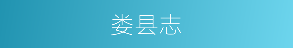 娄县志的同义词