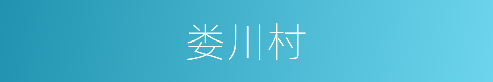 娄川村的同义词