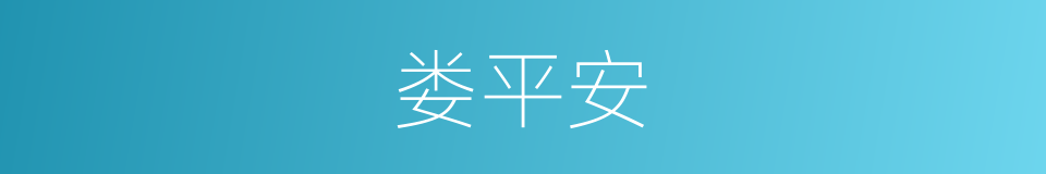 娄平安的同义词