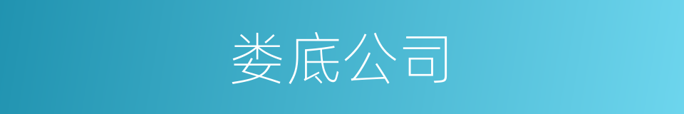 娄底公司的同义词