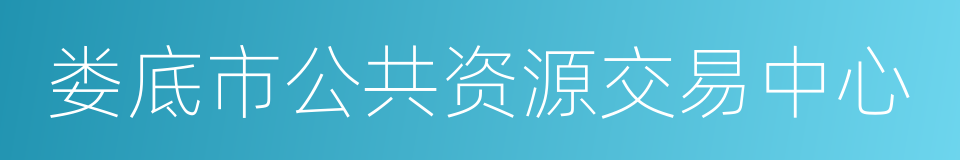 娄底市公共资源交易中心的同义词