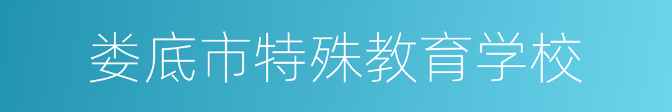 娄底市特殊教育学校的同义词
