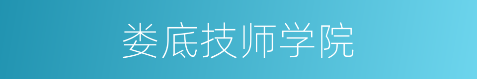 娄底技师学院的同义词