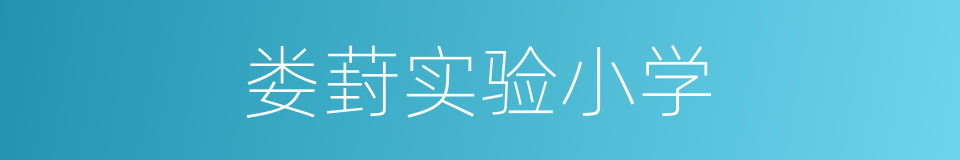 娄葑实验小学的同义词