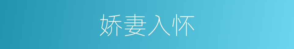 娇妻入怀的同义词