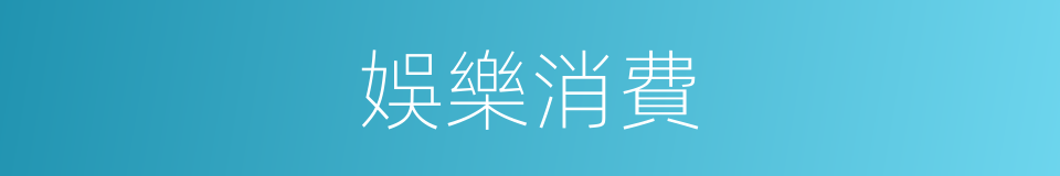 娛樂消費的同義詞