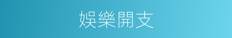 娛樂開支的同義詞