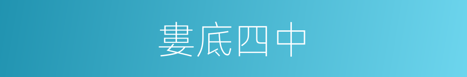 婁底四中的同義詞