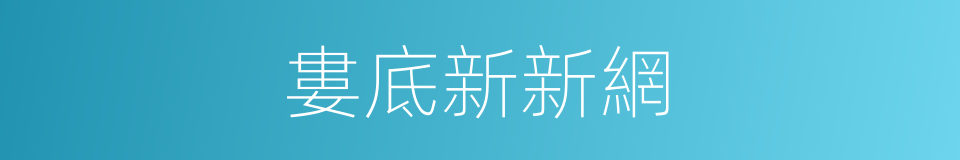婁底新新網的同義詞