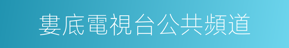 婁底電視台公共頻道的同義詞