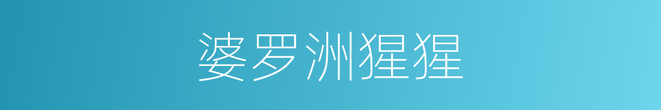 婆罗洲猩猩的同义词