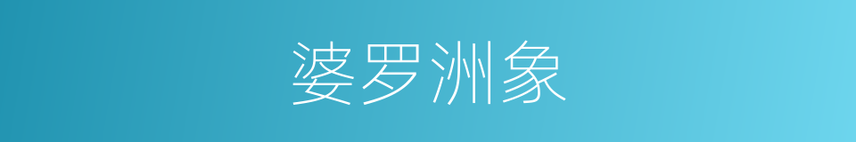 婆罗洲象的同义词