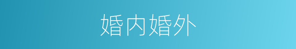 婚内婚外的同义词