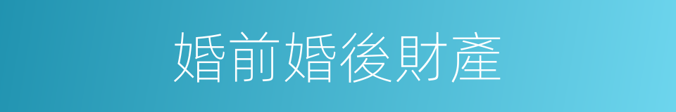婚前婚後財產的同義詞