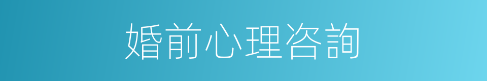 婚前心理咨詢的同義詞