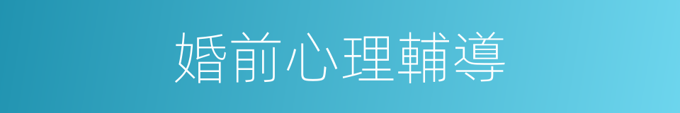 婚前心理輔導的同義詞