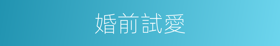 婚前試愛的同義詞