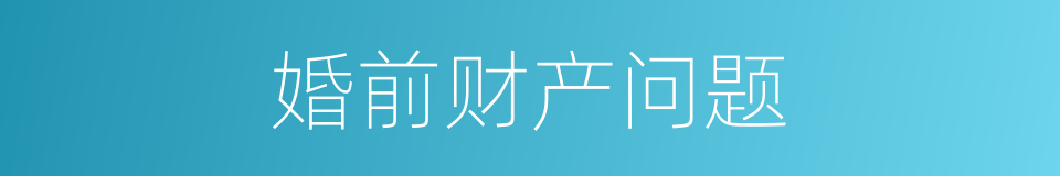婚前财产问题的同义词