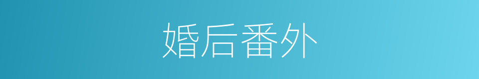 婚后番外的同义词