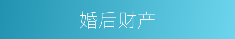 婚后财产的同义词
