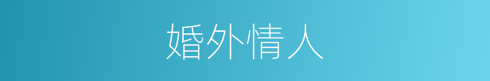 婚外情人的同义词