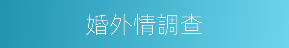 婚外情調查的同義詞